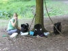 006_prim_tab-12-07-2011.jpg