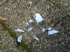076_prim_tab-13-07-2011.jpg