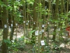 dscn6505.jpg