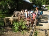 dscn6546.jpg
