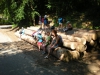 dscn6550.jpg
