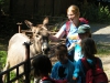 dscn6552.jpg