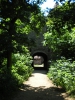 dscn6565.jpg