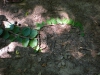 dscn6617.jpg