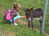 dscn6734.jpg