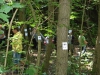 dscn6754.jpg