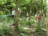 dscn6755.jpg
