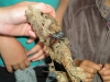 dscn6769.jpg