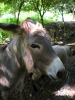 dscn6811.jpg