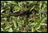 006_primtabor_23-08-2010.jpg