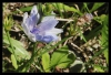 007_primtabor_23-08-2010.jpg