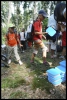 017_primtabor_23-08-2010.jpg