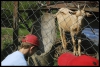 024_primtabor_23-08-2010.jpg