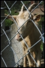 026_primtabor_23-08-2010.jpg