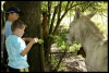 066_primtabor_25-08-2010.jpg