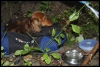 108_primtabor_27-08-2010.jpg