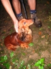 110_primtabor_27-08-2010.jpg