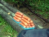 114_primtabor_27-08-2010.jpg