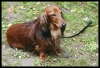 128_primtabor_27-08-2010.jpg