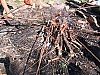 153_12-00.JPG