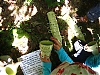 180_13-33.JPG