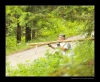 2008-06-(13-15)_Tycovina_30.jpg