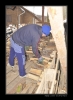 Makacka-2009-01003.jpg