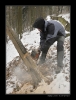 Makacka-2009-01011.jpg