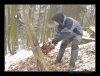 Makacka-2009-01012.jpg