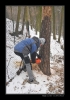 Makacka-2009-01014.jpg