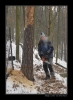 Makacka-2009-01015.jpg
