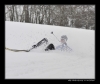 Bezky-2009-02023.jpg
