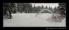 Bezky-2009-02025.jpg