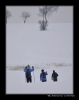 Bezky-2009-02040.jpg