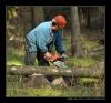 2009-04-15_Pila013.jpg