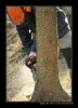 2009-04-15_Pila024.jpg