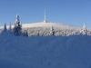 P1150080.JPG