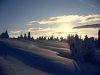 P1150090.JPG