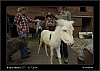 024_wild-west_27-07.jpg
