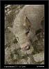 027_wild-west_27-07.jpg