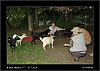 032_wild-west_27-07.jpg