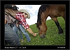 040_wild-west_27-07.jpg