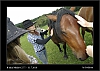 041_wild-west_27-07.jpg