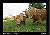 055_wild-west_27-07.jpg