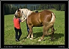 066_wild-west_28-07.jpg