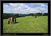 067_wild-west_28-07.jpg