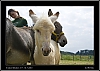 072_wild-west_28-07.jpg