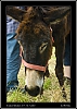 073_wild-west_28-07.jpg