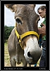 075_wild-west_28-07.jpg