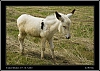 077_wild-west_28-07.jpg